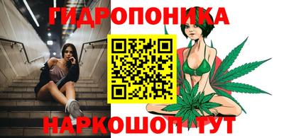 PSILOCYBIN Сланцы