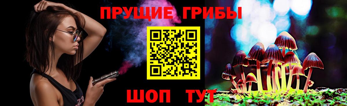 Галлюциногенные грибы Psilocybine cubensis  Псилоцибиновые грибы Psilocybine cubensis  Вход с VPN  даркнет сайт  Полысаево 